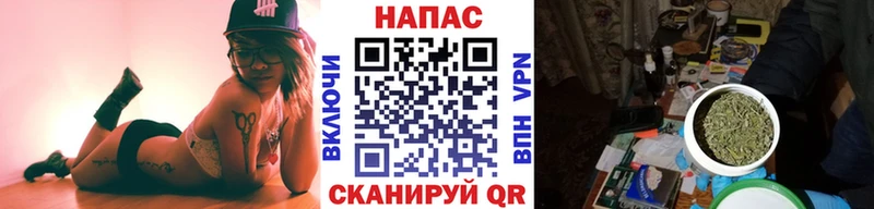 Бошки марихуана Amnesia  Купить  Короча 